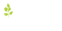 The Coriander